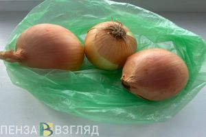 В Пензе объяснили, почему в регионе не выращивают знаменитый бессоновский лук