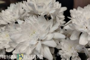 Президент наградил пензенскую семью медалью ордена «Родительская слава»