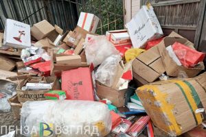 За 2 года в Пензенской области пресекли более тысячи нарушений в сфере ТКО
