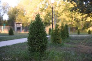 В Пензенской области утвердили 5 курортов регионального значения