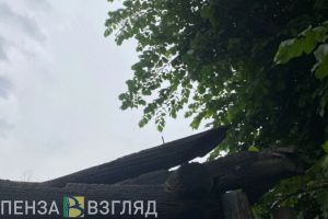 В Пензе подожгли квартиру и торговый павильон