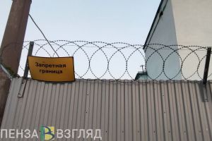 Пензячку приговорили к лишению свободы за неуплату алиментов
