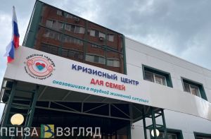 Пензенский омбудсмен Столярова рассказала о помощи семье погибшего бойца СВО