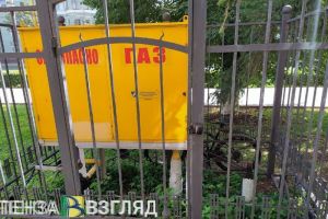 Усманов прокомментировал отсутствие газа в доме №152 по улице Аустрина в Пензе
