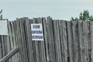 Сибиреязвенными скотомогильниками Кузнецкого района занялась прокуратура