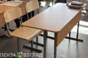 ГОСТ на форму, массовое ДТП и бешеная лиса в Заречном — новости Пензы и области за 29 июня