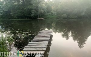 В Пензенской области пересчитали бобровые хатки