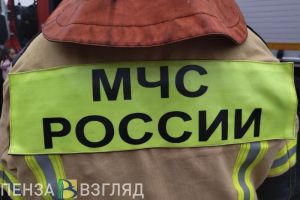3 человека пострадали и 1 умер при пожарах в Пензенской области за неделю