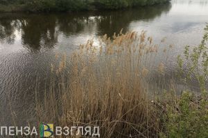 В Минлесхозе рассказали, насколько загрязнена река Сердоба