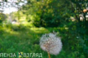 Пензенцам рассказали о радиационной обстановке в области