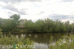 Стало известно, чем заражена рыба в Пензенском водохранилище