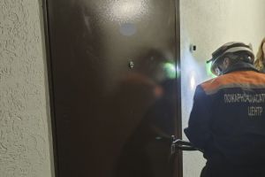 В Пензе спасатели вскрыли квартиру, откуда доносились крики о помощи