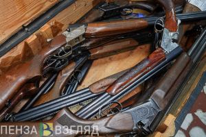 В Пензенской области охотникам выдают разрешения на добычу кабана
