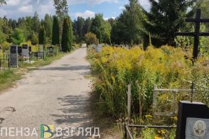 Названы районы Пензенской области с самым большим ростом смертности за год