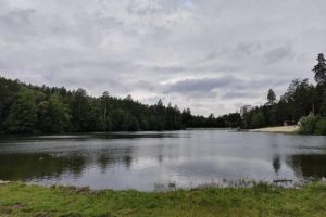 Жителей Заречного приглашают на уборку пруда в зоне отдыха «Лесная»