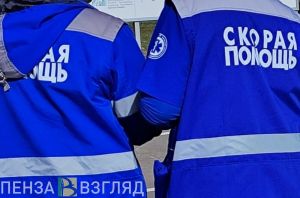 В Пензенской области водитель попал в больницу после ДТП на трассе
