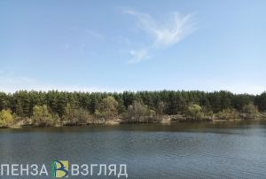 Пензенцам рассказали, какие инфекции можно подцепить в водоемах
