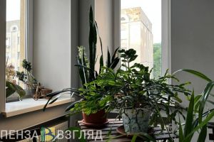 Пензенцам рассказали о предложении списывать ипотечные кредиты