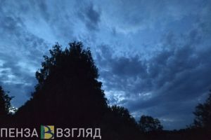 Режим «Беспилотная опасность» введен в Пензенской области