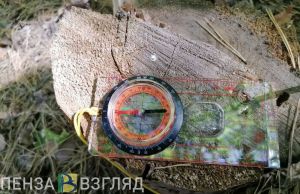 В Пензенской области нашли потерявшегося 75-летнего грибника