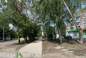 Мельниченко проверил, как продвигается ремонт тротуара на ул. Быкова в Сердобске