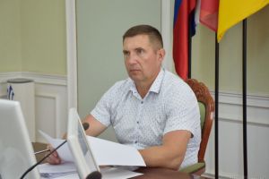 Глава Пензы Олег Денисов поручил ускорить покос сорной травы