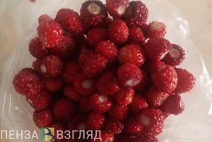 Пензенцам рассказали, сколько земляники можно съесть за день