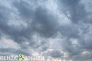 На учет поставили 94 пензенских объекта, негативно влияющих на окружающую среду