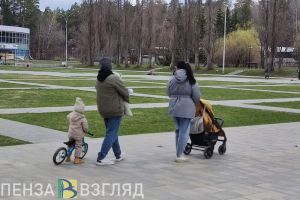 Для пензенских семей с детьми может появиться аналог «Пушкинской карты»