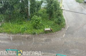 Гроза и жара: в Пензенской области ухудшатся погодные условия
