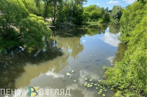Черная жидкость, связь при «Беспилотной опасности» и загоревшаяся машина: новости Пензы и области за 13 июля