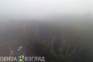 Жителей Пензенской области предупреждают о ночном тумане 15 июля