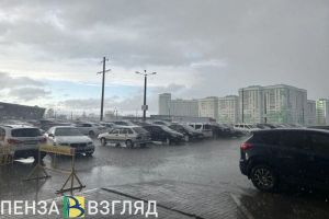 Гроза, дождь и жара: прогноз погоды в Пензе и области на 15 июля