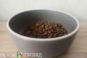 В Пензенской области ищут дом для полицейской собаки по кличке Юрга
