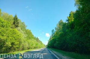17 июля ограничат движение на трассе «Тамбов – Пенза» в Пензенском районе