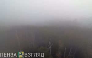 16 июля в Пензенской области ожидаются гроза и туман