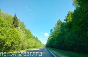 В Пензенской области число погибших в ДТП снизилось на 38,8%