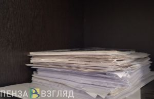 МФЦ Пензенской области назвал наиболее популярную у граждан услугу