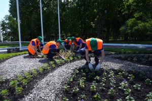 С начала летних каникул в Пензе и области трудоустроили более 3 тыс. подростков