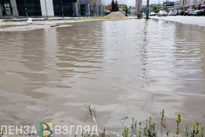 Олег Денисов поручил прочистить в Пензе ливневки перед предстоящими дождями