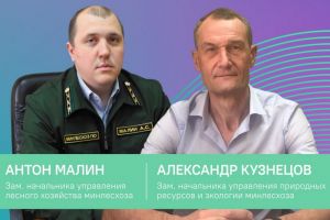 Представители регионального Минлесхоза ответят на вопросы пензенцев в эфире ЦУР