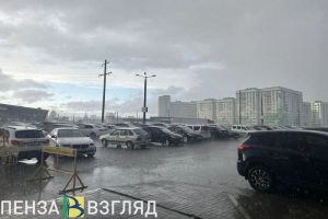 МЧС предупреждает о грозе: в Пензенской области ожидается ухудшение погоды