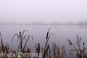 Гроза и туман: прогноз погоды для Пензенской области на 24 июля