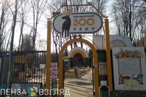 Зоопарки Кыргызстана и Пензы планируют обменяться животными