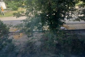 «Круглыми сутками вонь»: власти Сердобска проверили канализацию на герметичность
