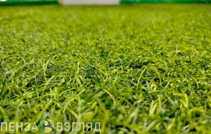 В Пензенской области возбудили 15 дел о нарушениях земельного законодательства