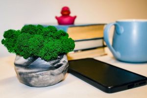 Баланс во всем: как относиться к себе бережно