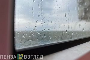 Гроза, дождь и 29 градусов тепла: прогноз погоды на 25 июля в Пензенской области