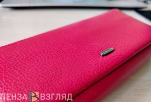 В Пензенской области профилактикой долгов по зарплате займется спецкомиссия