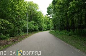 Опубликован график бесплатных консультаций врачей в пензенских парках на август